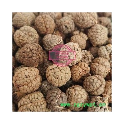 草豆蔻 正品 大个 过筛去米 产地 广西壮族自治区