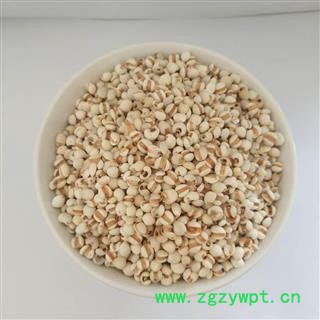 薏苡仁 小薏米&【国舜堂】产地货源 量大从优 中药材批发供应【薏苡仁】图4