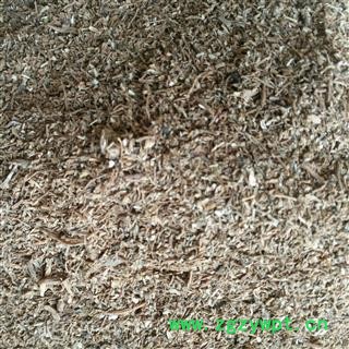 当归 当归粉子 产地 甘肃省图2