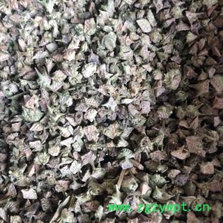 刺蒺藜 统货 产地 内蒙古自治区 小影全品类中药材批发图3