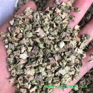 刺蒺藜 统货 产地 内蒙古自治区 小影全品类中药材批发图2