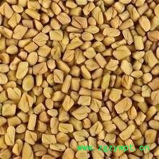 葫芦巴 统 产地 山东省图2