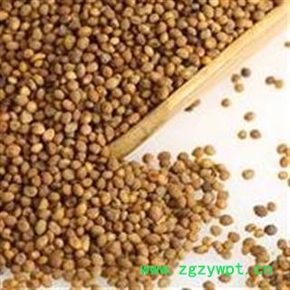 菟丝子 菟丝子水洗统货 产地 宁夏回族自治区图2