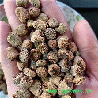 覆盆子 覆盆子选货 产地 浙江省图3