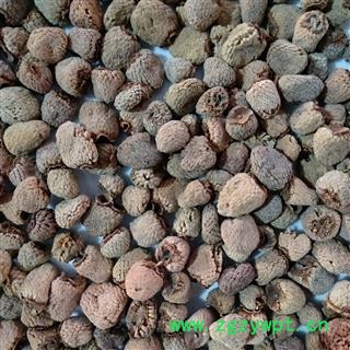 覆盆子 覆盆子选货 产地 浙江省图4