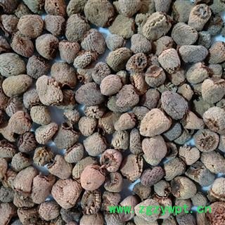 覆盆子 覆盆子选货 产地 浙江省图2