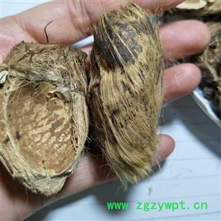 大腹皮 大腹皮新货统货 产地 广西壮族自治区图4