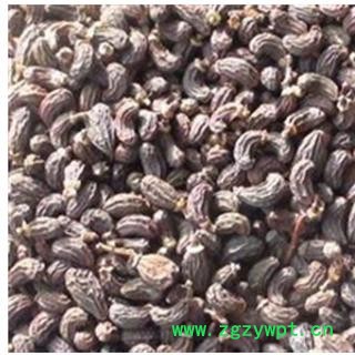 女贞子 女贞子腰果净货 产地 山东省图2