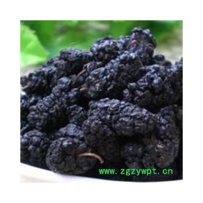 桑葚子 桑椹大选货水洗货食用级别 产地 四川省