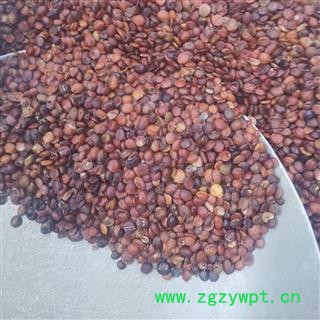 酸枣仁 酸枣仁统货 产地 河北省邢台市图3