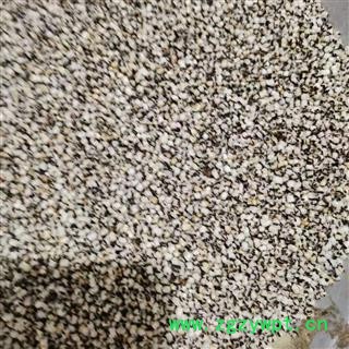 炒王不留行 河北王不留行选货 产地 河北省图2