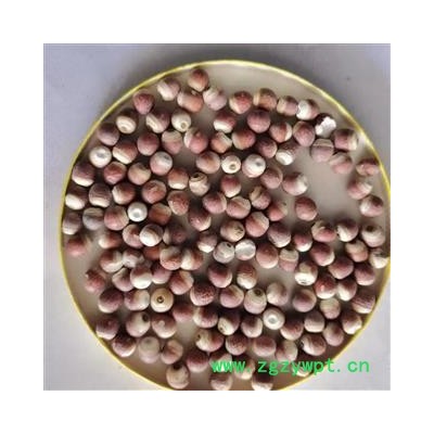 芡实 芡实0.6 产地 广东省