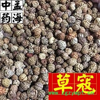 草豆蔻 选装 草寇 草蔻 草扣 过筛货 无碎籽 产地直销 产地 广西壮族自治区 草寇图3