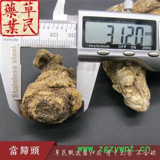 草民甄选无硫当归头 精选大个当归头 原皮头个 身干无杂 专业批发量大从优图4