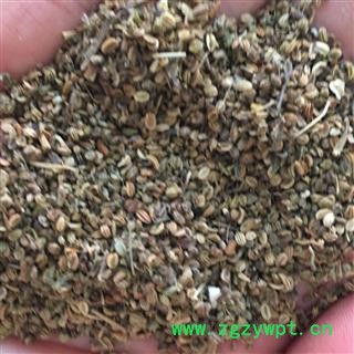 亳州花田错药业 蛇床子 地道药材 包退包换图2