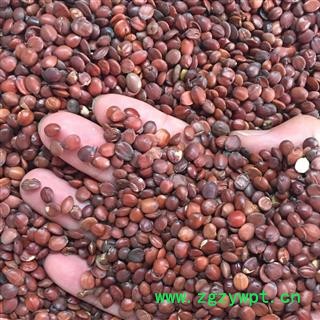 亳州花田错药业1国产 酸枣仁，国产货，地道药材，支持炒 打粉图2