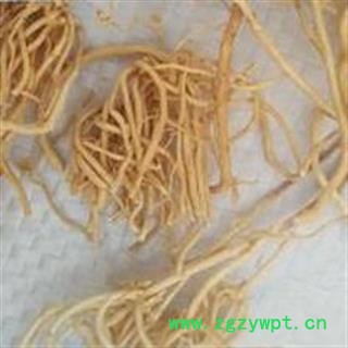 徐长卿 水洗徐长卿 产地 山东省图2