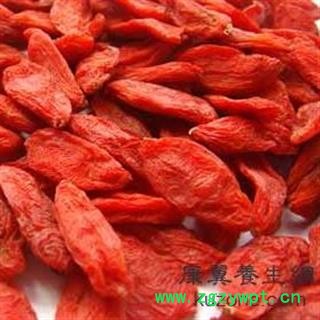 【录建药业】枸杞 180粒 产地 宁夏回族自治区中卫市中宁县图3