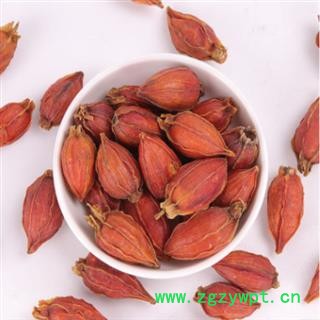 秦岭野生优质山栀子山民采摘自然凉干山栀子500g图4