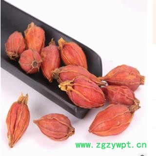 秦岭野生优质山栀子山民采摘自然凉干山栀子500g图3