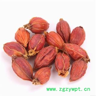 秦岭野生优质山栀子山民采摘自然凉干山栀子500g图2