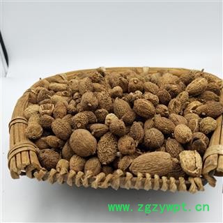 砂仁 进口 圆果 产地 海外图2