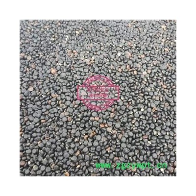 水红花子 水红花子净货 产地 辽宁省