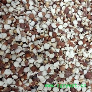 芡实 芡实0.6 产地 广东省 小影全品类中药材店铺图2