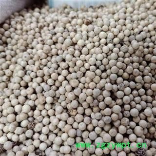 白胡椒  正品白胡椒颗粒 含量高 产地 海外 小影全品类中药材店铺图2