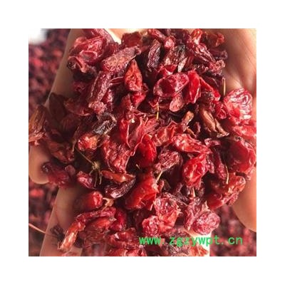 山茱萸 山茱萸好统货 无硫 产地 河南省 小影全品类中药材店铺