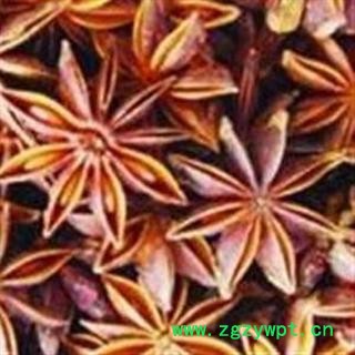 大茴香 统 产地 广西壮族自治区图2