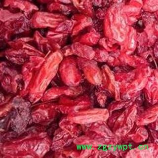 山萸肉 统 产地 河南省图2