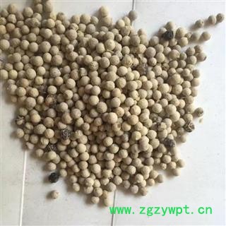 胡椒 统 产地 广西壮族自治区图2