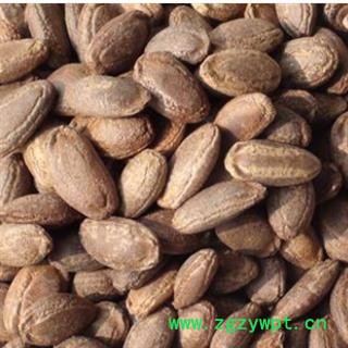 瓜蒌子 单边瓜蒌子选货 产地 河北省图3