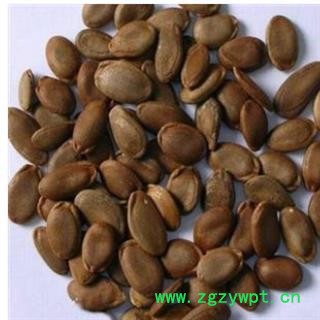 瓜蒌子 双边瓜蒌子选货 产地 河北省图4