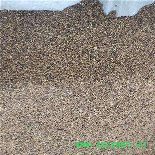 菟丝子 统货 产地 内蒙古自治区图3