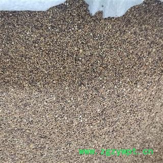 菟丝子 统货 产地 内蒙古自治区图2