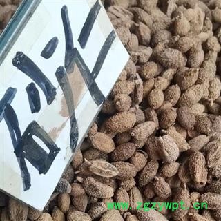 砂仁 选 产地 海外图2