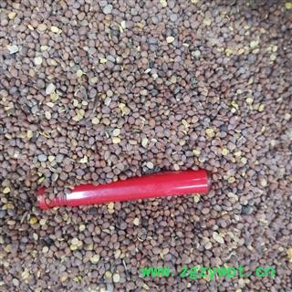 莱菔子 莱菔子统货 产地 甘肃省图3