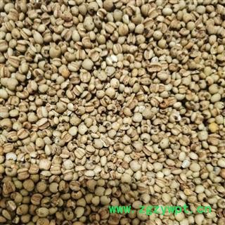 麸炒薏苡仁 国产薏苡仁98米 产地 贵州省图2