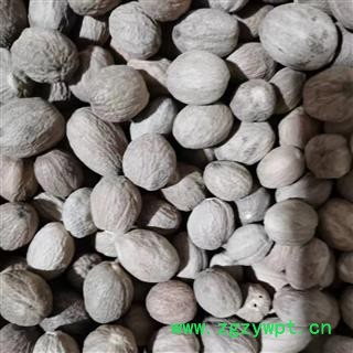 肉豆蔻 选 产地 广西壮族自治区图2