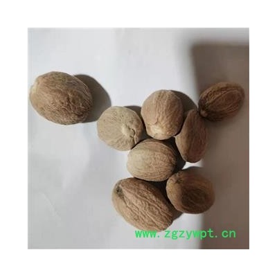 肉豆蔻 选 产地 广西壮族自治区