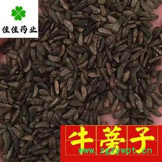 牛蒡子 牛蒡子净货 牛子 大力子 产地 甘肃省 供应各种中药材图3