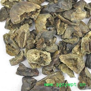 诃子 好统装 诃子肉 柯子肉 产地直销 供应各种中药材 产地 云南省图4