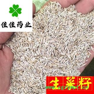 生菜籽 净货 新货 选货 白巨胜 莴苣子 生菜子 产地直销 供应各类中药材 产地 河北省图4