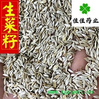 生菜籽 净货 新货 选货 白巨胜 莴苣子 生菜子 产地直销 供应各类中药材 产地 河北省图3