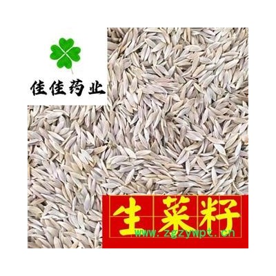 生菜籽 净货 新货 选货 白巨胜 莴苣子 生菜子 产地直销 供应各类中药材 产地 河北省