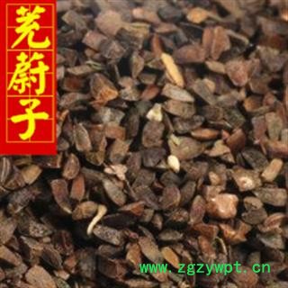 茺蔚子 茺蔚子净货 产地直销 供应各种中草药 产地 山东省 干净 新货图2