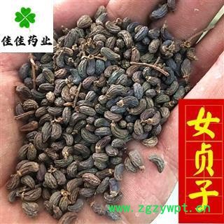 女贞子 女贞子腰果净货 产地 山东省 农户采摘 干净度高 供应各类中药材图2