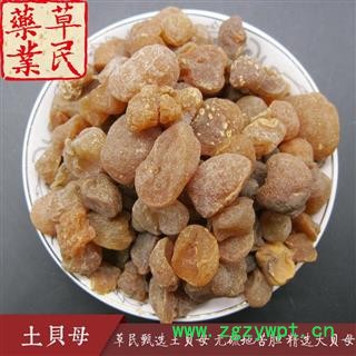 草民甄选土贝母 无硫地苦胆 精选大贝母 干度好 实物如图 专营冷备量大从优图4